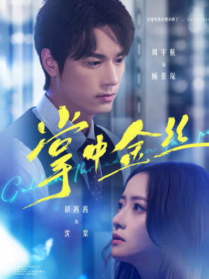 掌中金丝(60集) 掌中金丝(60集)短剧热门推荐