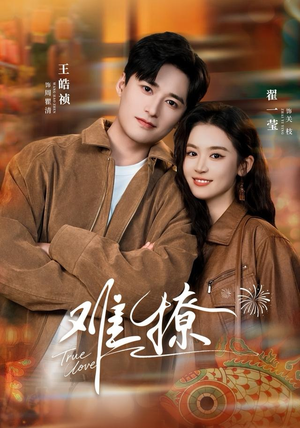 难撩（100集）番茄短剧免费看