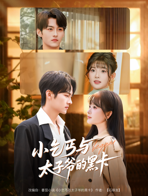 小乞丐与太子爷的黑卡（60集）热门短剧榜单