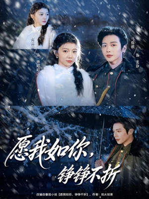 愿我如你，铮铮不折（63集）大结局一气呵成