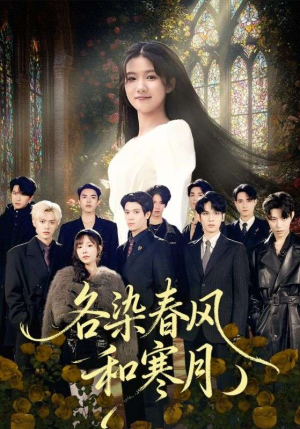 尘埃里的真千金（67集）火爆短剧来袭