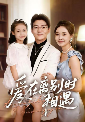 爱在离别时相遇（60集）短剧视频分享