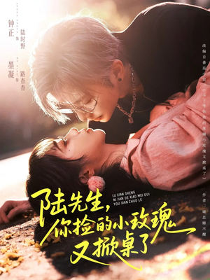 陆先生，你捡的小玫瑰又掀桌了（74集）悬疑短剧推荐