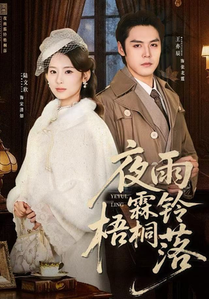 烽火错爱（51集）好看的短剧电影