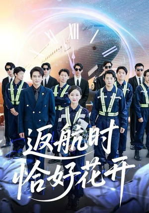返航时恰好花开（101集）热播短剧重燃