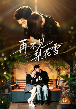 再不见梨花雪（70集）评价怎么样