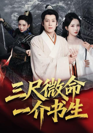 三尺微命一介书生（70集）全集免费