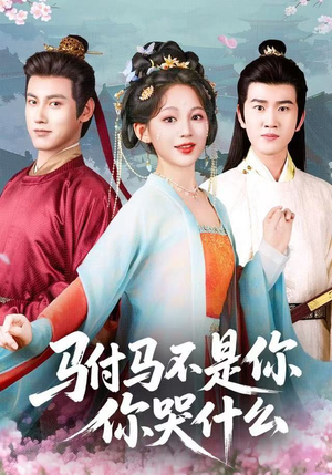 驸马不是你，你哭什么（49集）UC网盘在线看