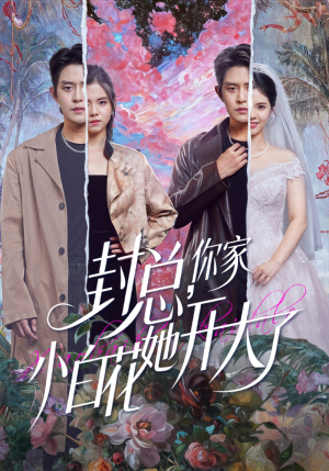 大佬你的牙粘口红了（60集）精彩短剧随心推