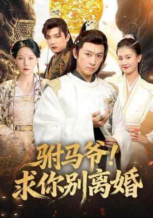 驸马爷！求你别离婚（80集）第32集