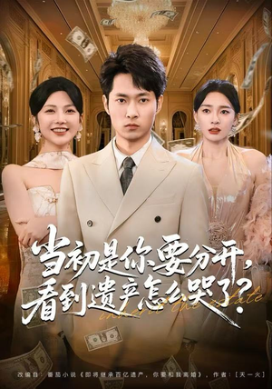 当初是你要分开，看到遗产怎么哭了？（70集）免费看