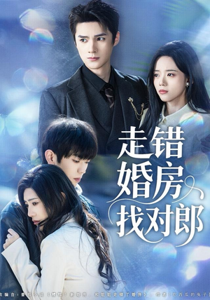 走错婚房找对郎（50集）太好看了短剧