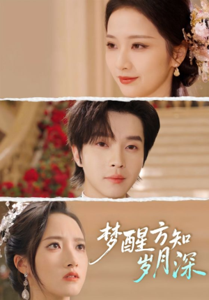 梦醒方知岁月深(80集) 梦醒方知岁月深(80集)番茄短剧免费看