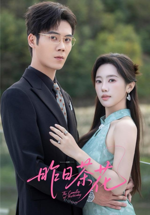 昨日茶花（56集）西瓜短剧免费看