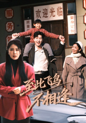 至此飞鸟不相逢（70集）无需充值尽情看