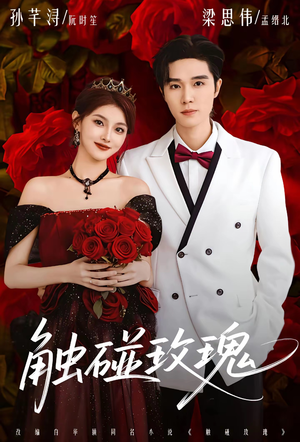 触碰玫瑰（80集）免费看全集