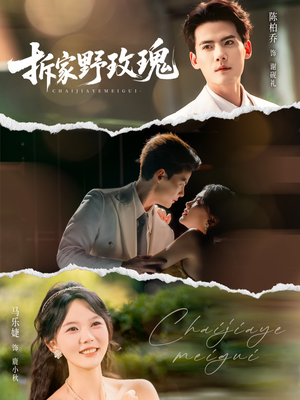 拆家野玫瑰（80集）免费看