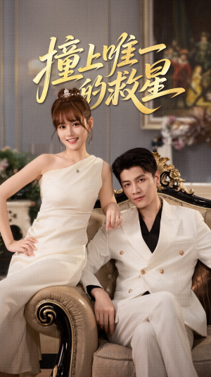 Z到唯一的JX（78集）在线免费观影