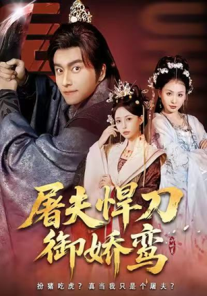 屠夫悍刀御娇鸾（81集）热播短剧免费看