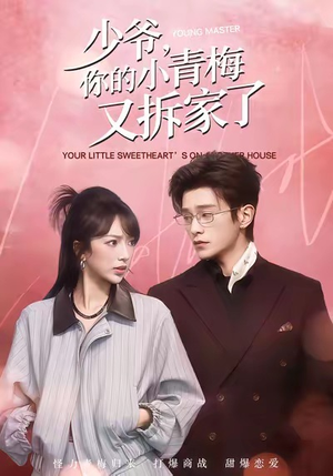 少爷，你的小青梅又拆家了（61集）热门了短剧