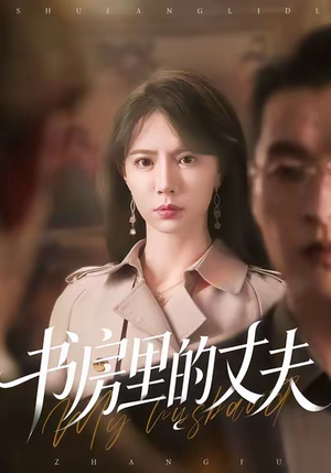 书房里的丈夫（100集）短剧热播抢先看