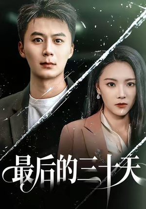 最后的三十天（52集）经典回顾免费看