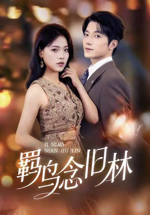 羁鸟念旧林（60集）免费短剧大全