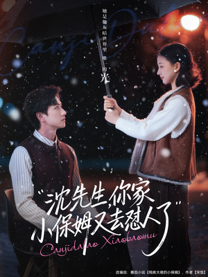 沈先生，你家小保姆又去怼人了（82集）古装短剧热播