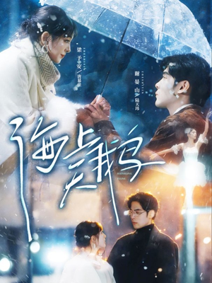 海上天鹅（70集）怎么看全集