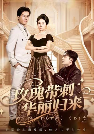 婚前测试他不配（83集）在线看到大结局