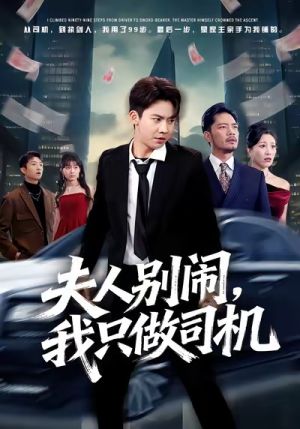 夫人别闹我只做司机（80集）无需充值尽情看