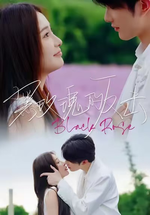 黑玫瑰的反击（47集）精彩不断免费看