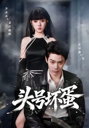 头号坏蛋（58集）高清无码免费看