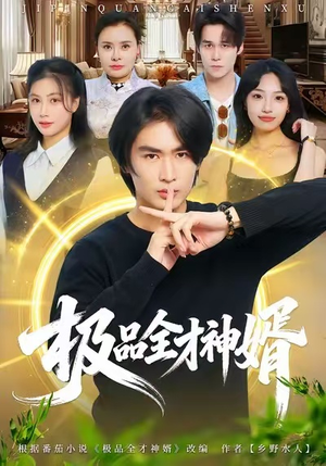 极品全才神婿（67集）短剧排行榜