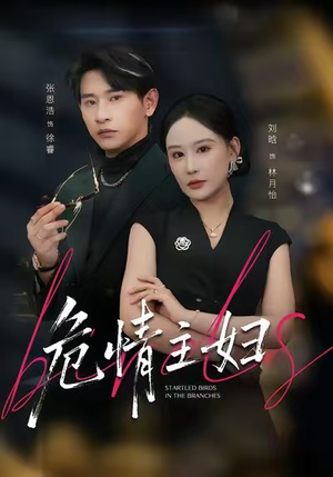 危情主妇（60集）一起看短剧