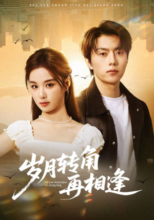 岁月转角再相逢（80集）短剧在线观看