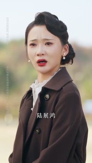 一纸休夫，半壁山河（62集）哪个网站可以看