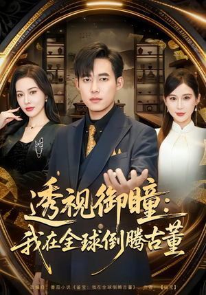 透视御瞳：我在全球倒腾古董（80集）网上可以看吗