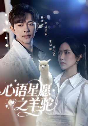 心语星愿之羊驼（60集）大结局太过瘾了