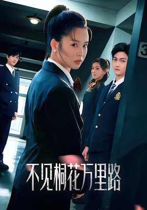 不见桐花万里路（71集）视频在线看