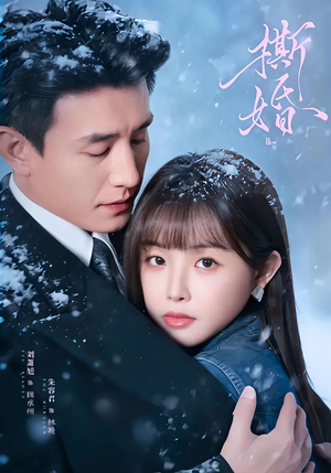 撕婚（23集）夸克网盘观看