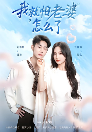 我就怕老婆怎么了（88集）全集