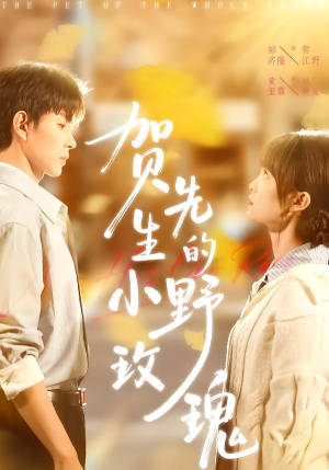 贺先生的小野玫瑰（99集）热播短剧排行榜