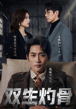 双生灼骨（60集）看到大结局