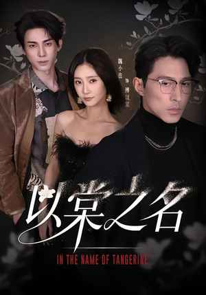 以棠之名（66集）大结局