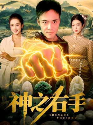 神之右手（100集）好看到停不下来