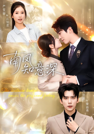 南风知意深（40集）最近很火的短剧