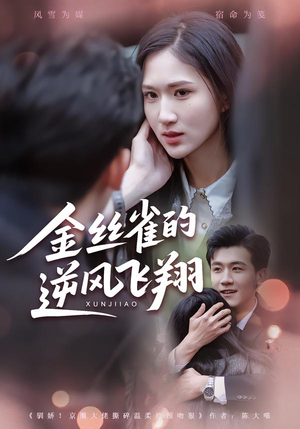 金丝雀的逆风飞翔(80集) 金丝雀的逆风飞翔(80集)在哪看免费