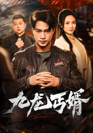 九龙丐婿（81集）大结局完美收官