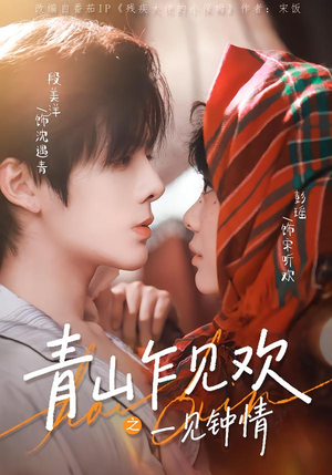 青山乍见欢之一见钟情（84集）一共多少集